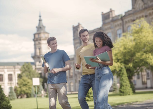 Untitled design (14)