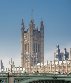 Untitled design (16)